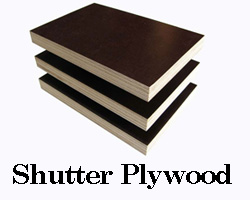 Shuttering Plywood